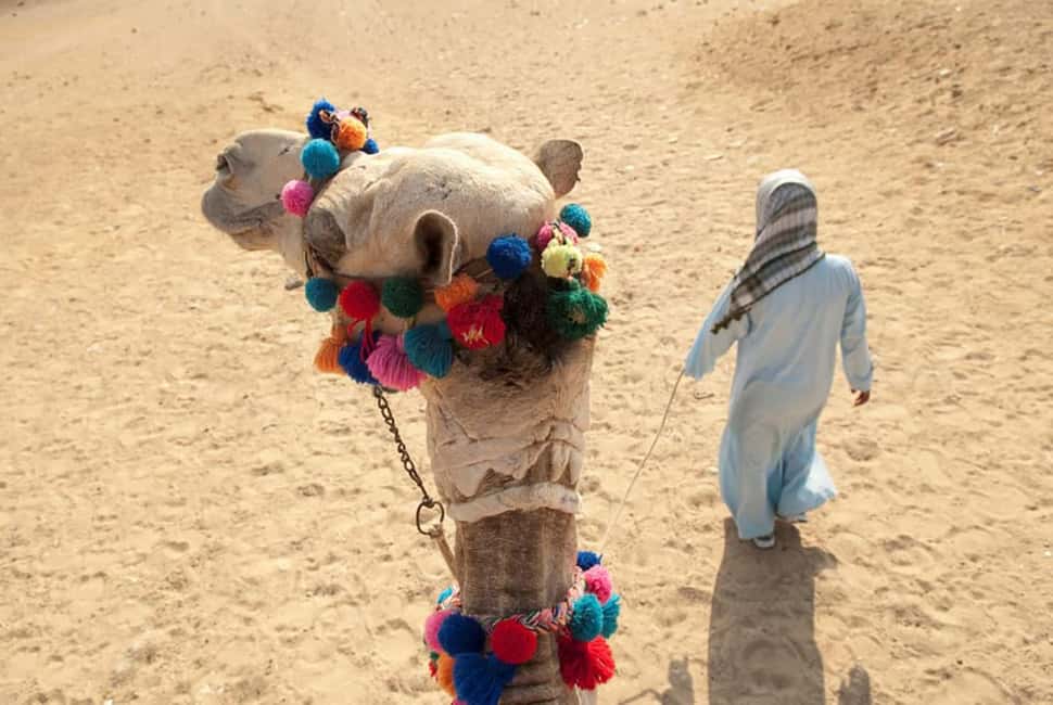 Sharm El-Sheikh: Ultimate ATV Quad, Stargazing & BBQ Dinner - BBQ Bedouin dinner and entertainment: what the evening includes