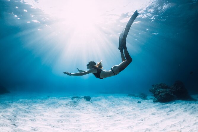 Sharm El Sheikh: White Island and Ras Mohamed Cruise Adventure - Key things I’d focus on before you go