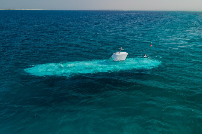 Sindbad Submarines - Hurghada (Egypt) - 2 Hours - Who This Trip Suits Best in Hurghada