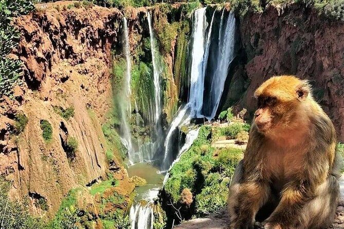 Small group Ouzoud Waterfall Guided Tour Boat Ride from Marrakech - The Boat Ride Under the Falls: When Pictures Get Serious