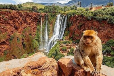 Small group Ouzoud Waterfall Guided Tour Boat Ride from Marrakech - Arrival at Ouzoud: Walking the Falls With a Guide