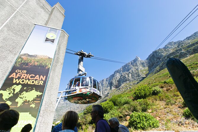 Table Mountain, Penguins & Cape Point Small Group Tour Cape Town - A 10-hour Cape Town hit list that actually works
