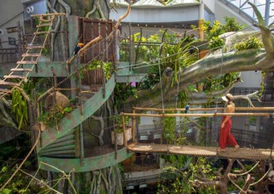 The Green Planet - Dubai's Unique Indoor Rainforest - The Bio-Dome Experience: The Tree, the Atmosphere, and Why It Works