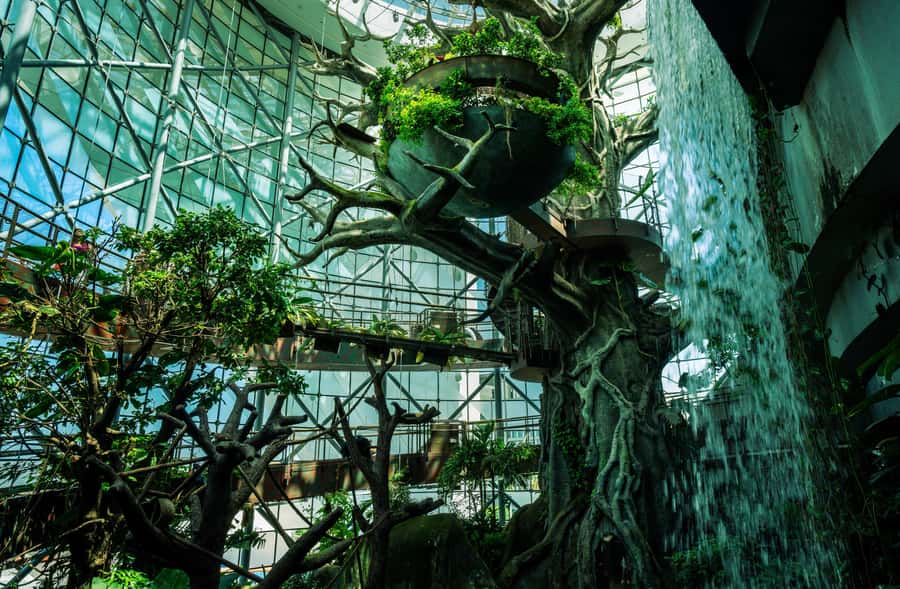 The Green Planet - Dubai's Unique Indoor Rainforest - Sloths That Sleep a Lot (So Time Your Spotting)