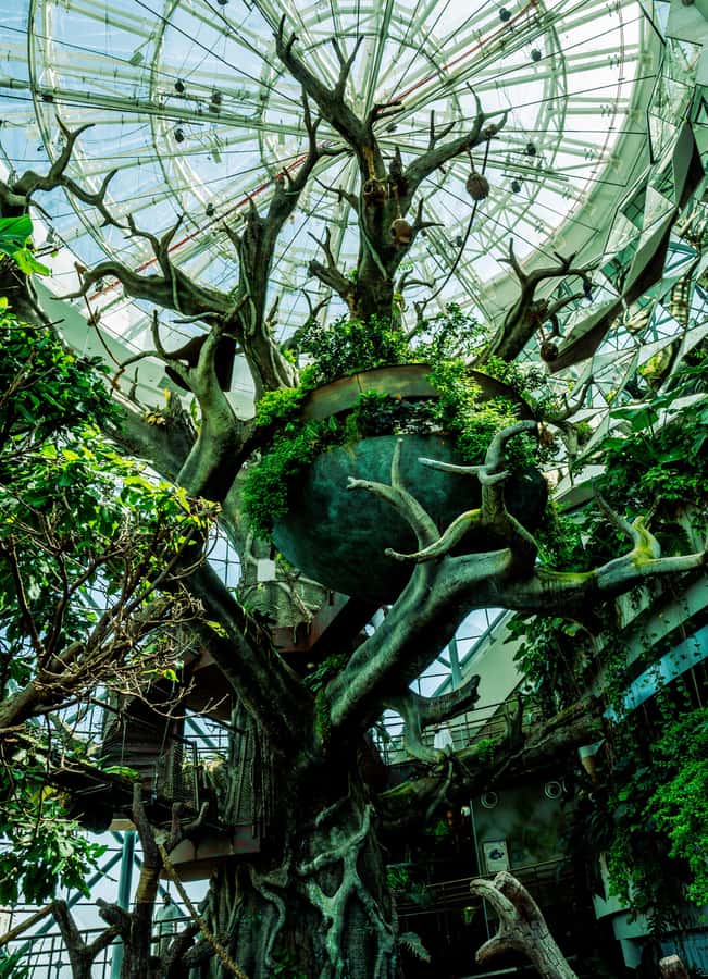 The Green Planet - Dubai's Unique Indoor Rainforest - Squirrel Monkeys and the “Look Up” Moment