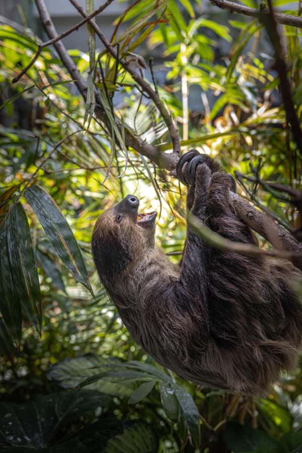 The Green Planet - Dubai's Unique Indoor Rainforest - Touching Animals: What’s Included vs What Costs Extra