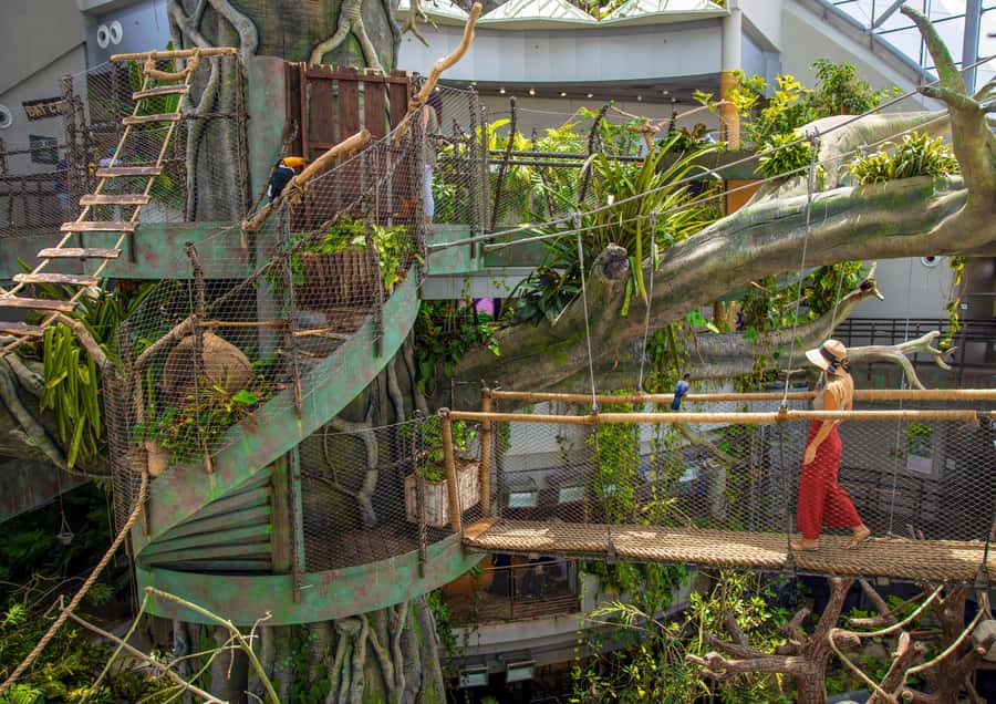 The Green Planet - Dubai's Unique Indoor Rainforest - The Bio-Dome Experience: The Tree, the Atmosphere, and Why It Works