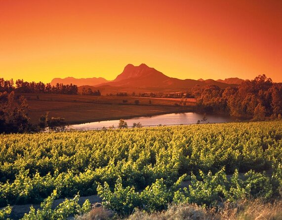 Wine Tour: Paarl, Franschhoek & Stellenbosch incl 3 wineries - Paarl afternoon finish with a sweet pairing