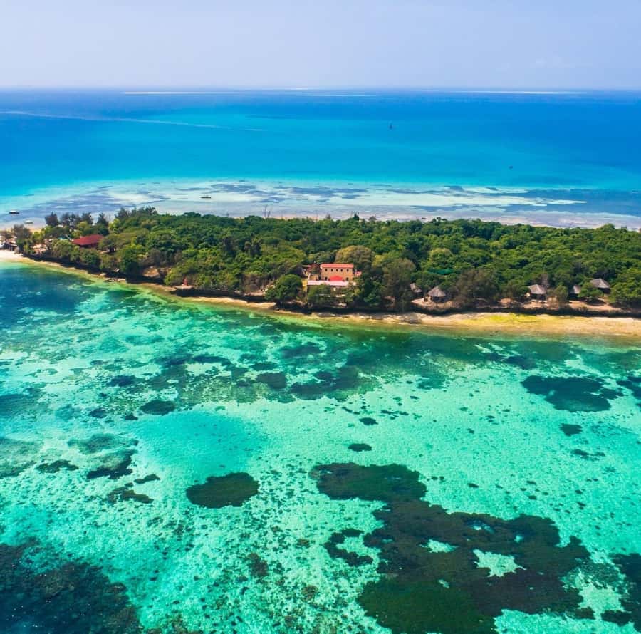 Zanzibar: Stone Town, Spice Tour, Prison Island with Lunch - Swahili lunch on the farm: a welcome reset